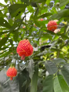 無需去證明自己是不是，因為就已經是了。神說自己無需證明自己是神，因為祂本來就是神。在日綜採訪一位住在深山裡的長者，說自己已經87歲了，而節目組人員和身為觀眾的月光，都會認為這看起來大概是60多歲左右。長者回答：那我要怎麼證明呢？拿出生證明給你看？自己真的就是這樣的歲數啊！因此，無需證明，而有的事情也難以證明。