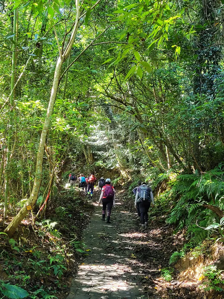 前段為石板路面，為適合一般民眾健行步道