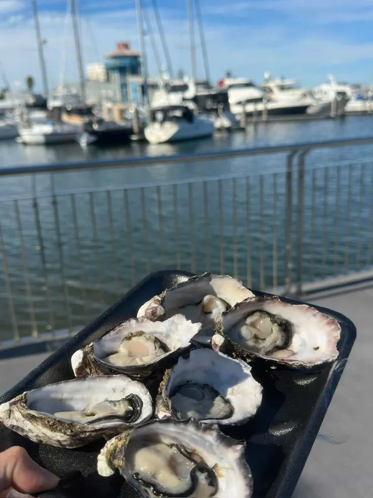 生蠔，半打14澳幣