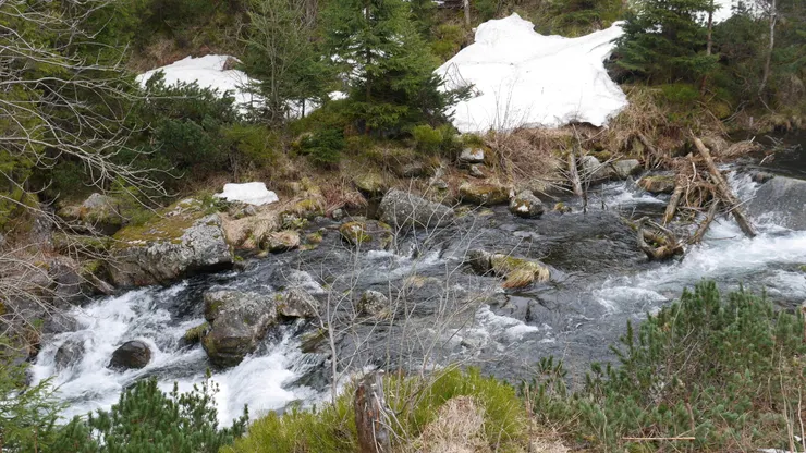 感覺很清澈乾淨的小溪,畢竟是雪水流下來的嘛