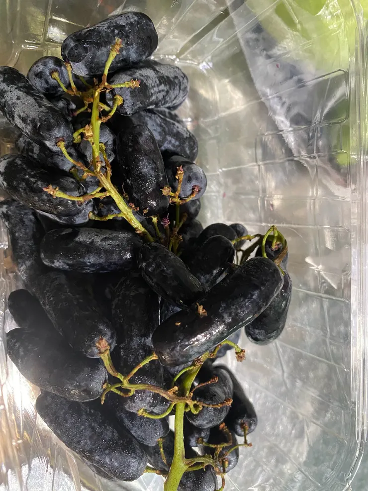 葡萄啊葡萄你為什麼是長條狀的？