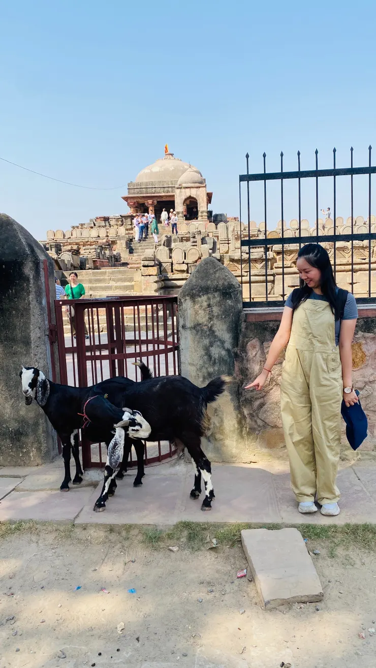 月亮水井旁邊還有一座哈沙特瑪塔女神廟（Harshat Mata Temple）