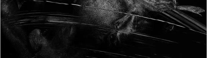 電癮食堂MovieDiner