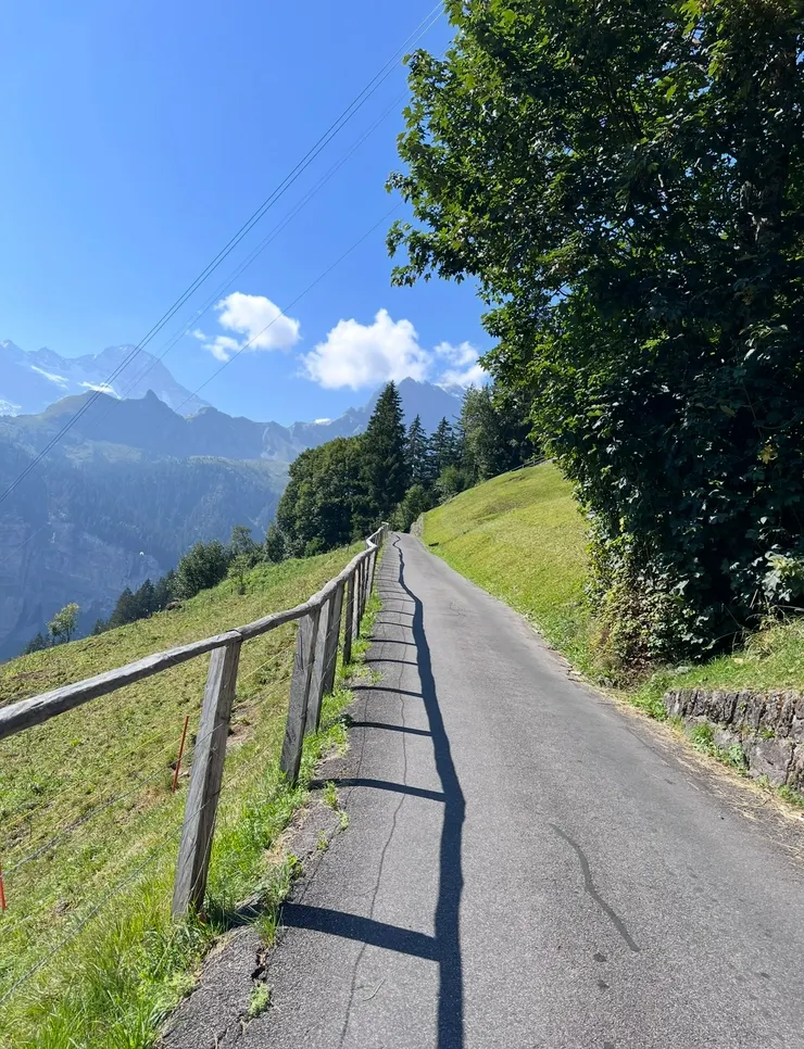 我們開始健行囉