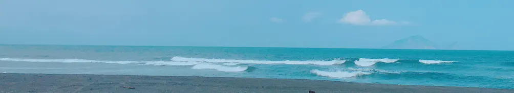 Cha Cha real talk 的沙龍