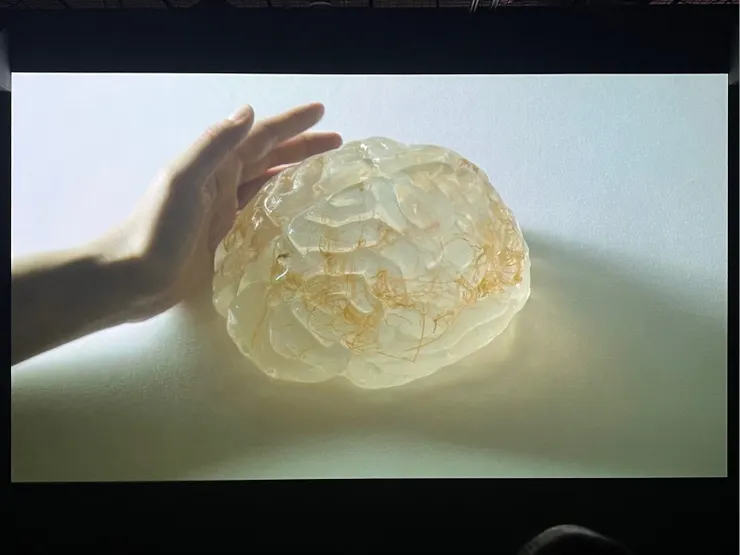 〈大腦交響曲〉，2020，HD 錄像，8分鐘。本文作者攝。