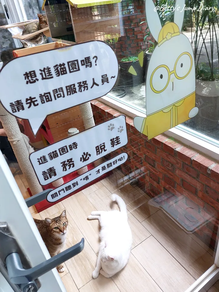 ▲龍潭「野薑花與貓」庭園餐廳/ 圖片來源:Betty's Jump Diary