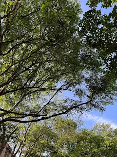 雖然肉體感官這樣告訴自己，但那並非就是無可撼動的真實，只要打開心靈之眼，就可以看到自己已經富足的模樣，可以運用自己擁有的財富去幫助別人。如果在當下，自己的信念還不夠踏實，那就多重複幾遍內心戲的演出。