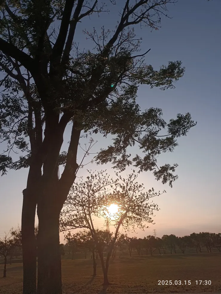 夕陽外衷情懷幽