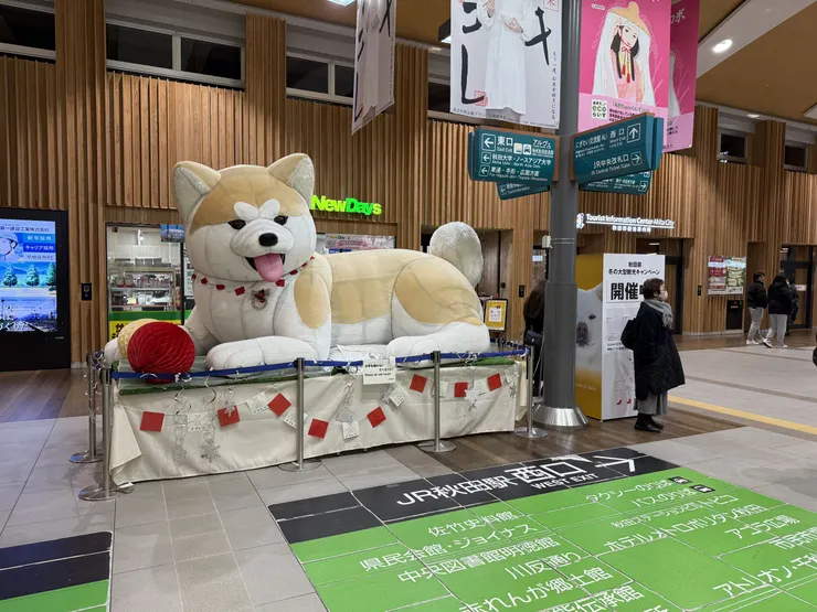 秋田站。大大的一隻秋田犬。