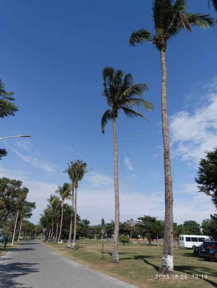 日踏尋青撫心弦，自拍