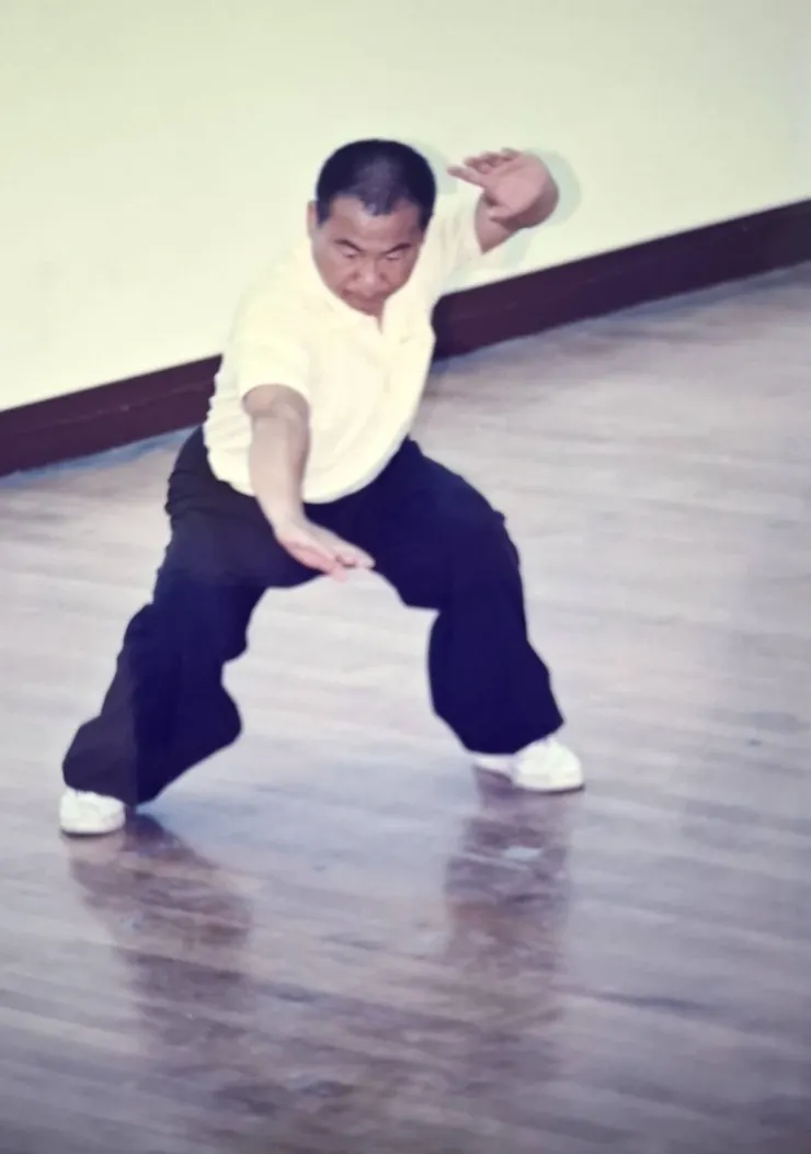 台灣省中部地區白鶴拳聯誼會王師兄演武英姿