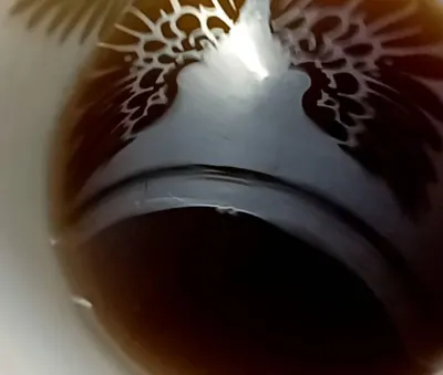 人土土沁的沙龍