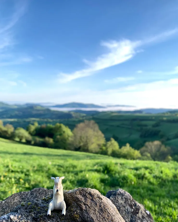 圖二:冥想羊與雲海