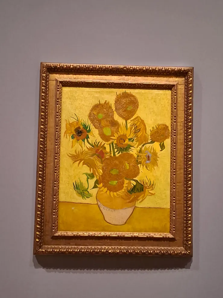 向日葵 🌼🌻🌼