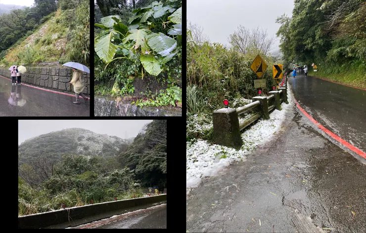 （攝影：抱城，2024/1/23。）