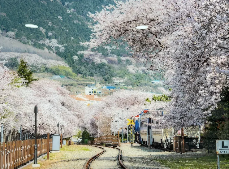 （原圖翻拍自展覽館內照片）