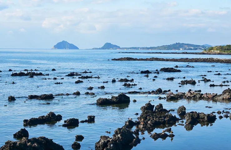 每天都能看到清澈無比的海