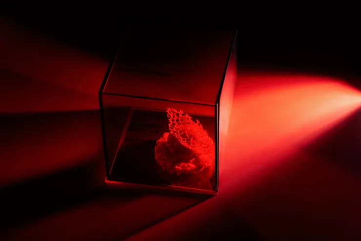 這是一個暗紅色的空間,一片暗紅色的大地。 全球暖化、氣溫上升,警示與災害在空間交錯迴盪。 打開盒子,拿起放大鏡,觀察 警覺 行動, 找尋來自大地的隱藏訊息。