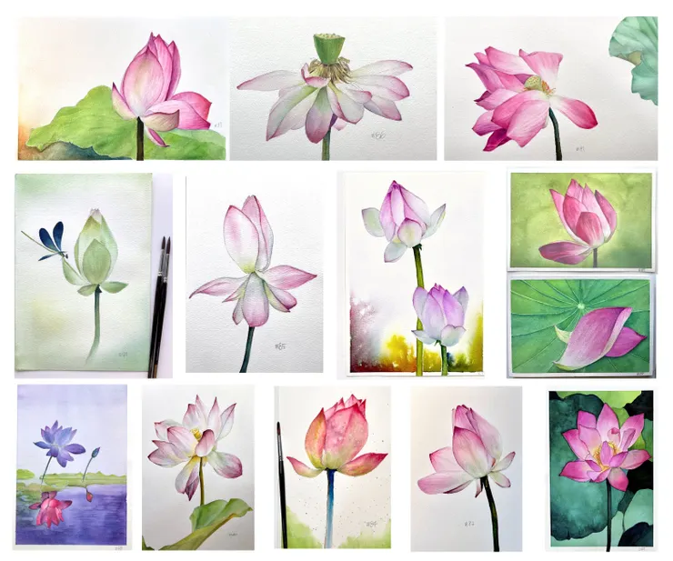 圖YHCC@水彩練習W79~W91, 2025荷花群像