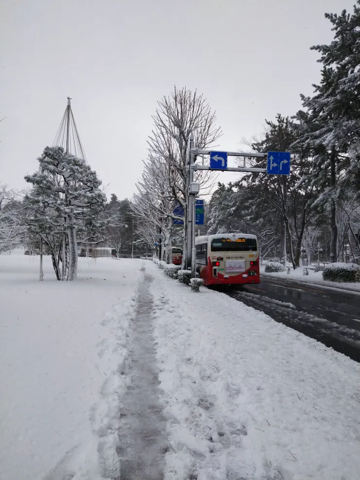 其實下公車後不到30秒,就快凍壞了