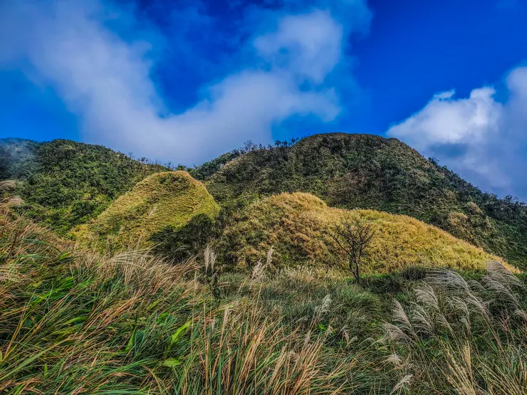 路徑不清加上布條不多，對照gpx仔細找路