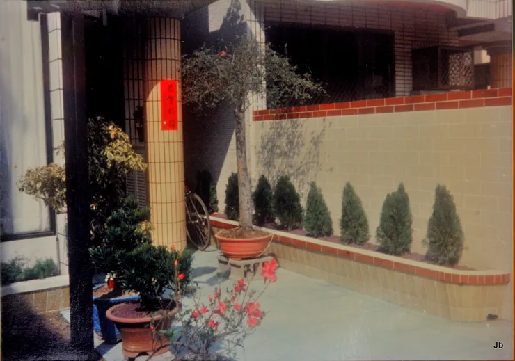 「啊都忘了它們是從小幼苗長大的，看著老照片中的柏樹女兒訝然說。」這是庭院北側，約1988年初剛搬到現址時，女兒還要兩年多才出生。