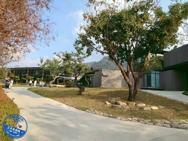 南投國姓新景點｜春水山林