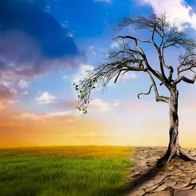 Frankie Wong的沙龍