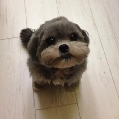 Martin大叔的胡思亂想