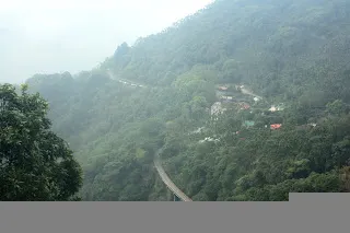 從螺旋線上望向樟腦寮車站