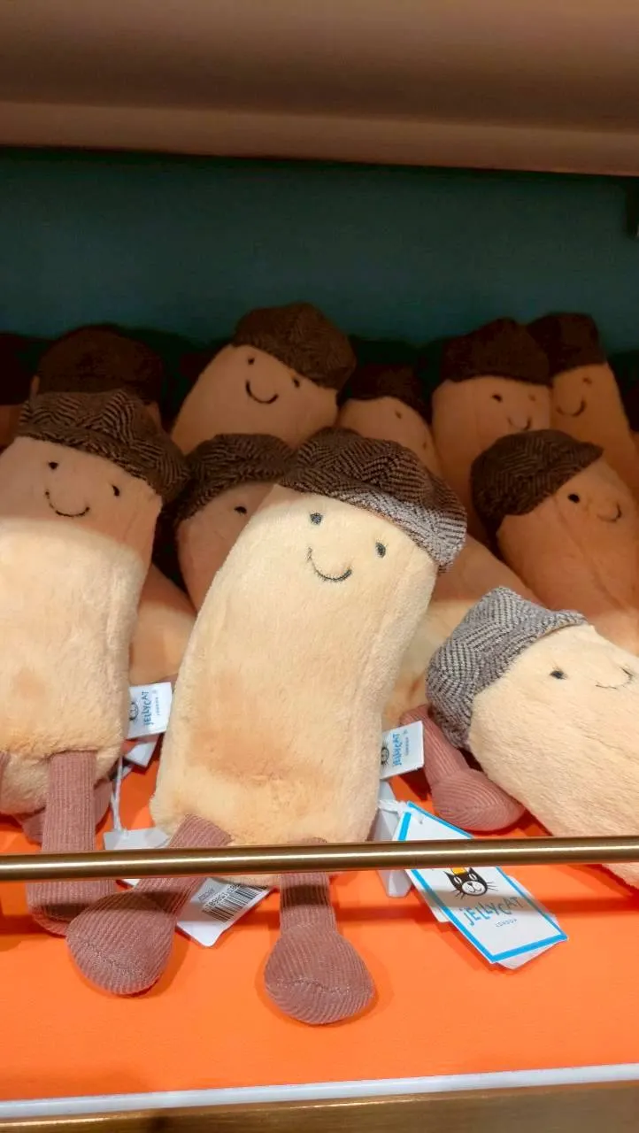 這個不知道是什麼？有人知道嗎？