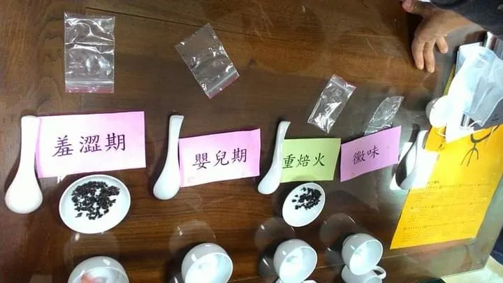 品質不良老茶的辦識