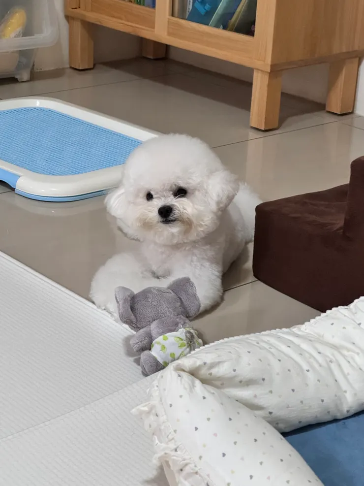 歪頭看人