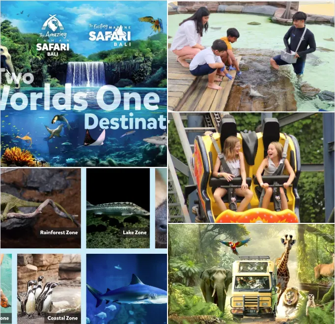 遊客可以近距離觸摸鯊魚和魟魚。除此之外還有企鵝、食人魚、水豚君...等,看看我們的介紹喔!