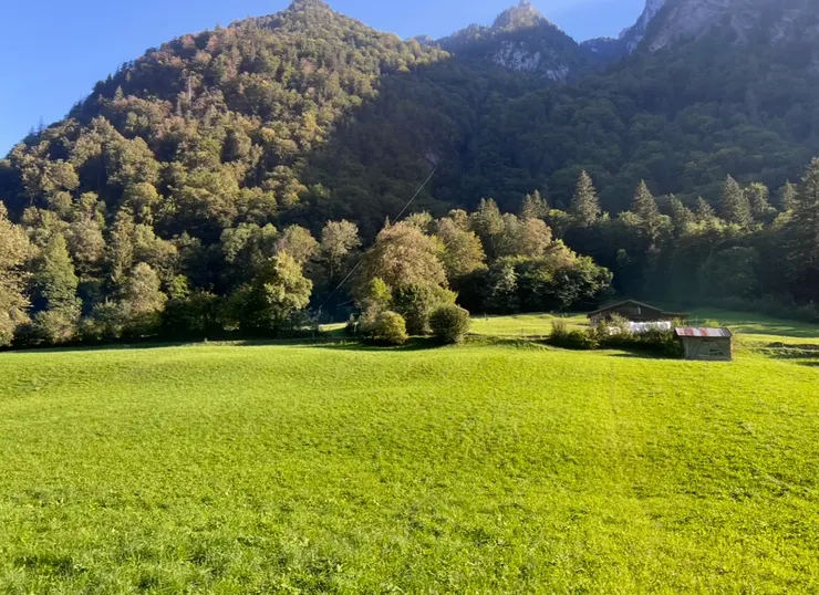 火車上，窗外的風景