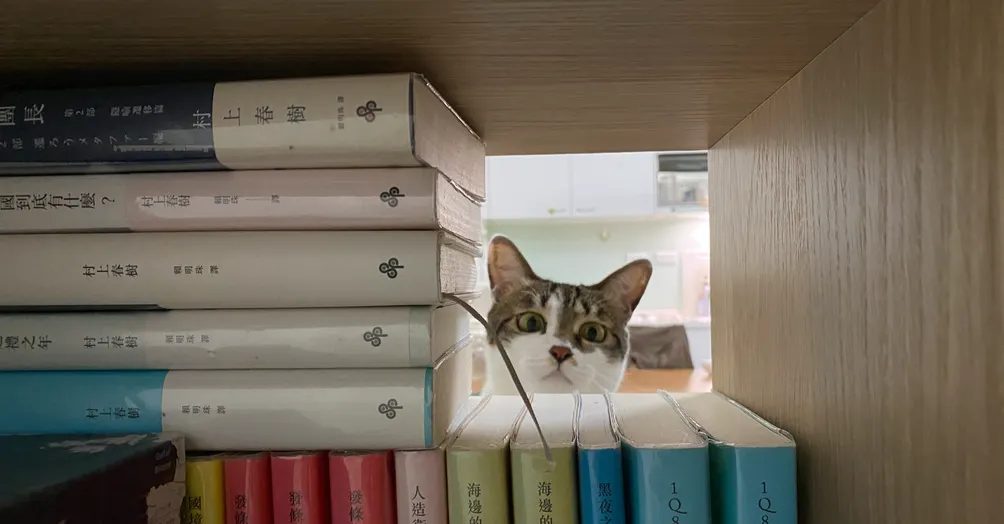 煮播阿本桑食間