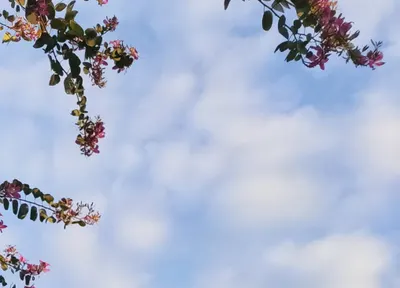 「快樂」這件事