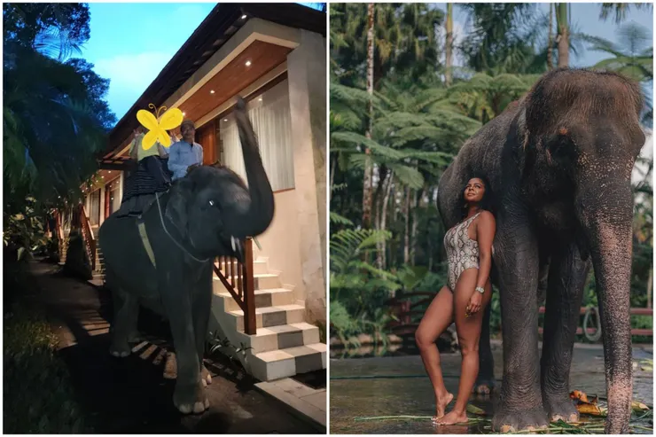 圖:Chuang Ling Chun提供 + 網路截圖