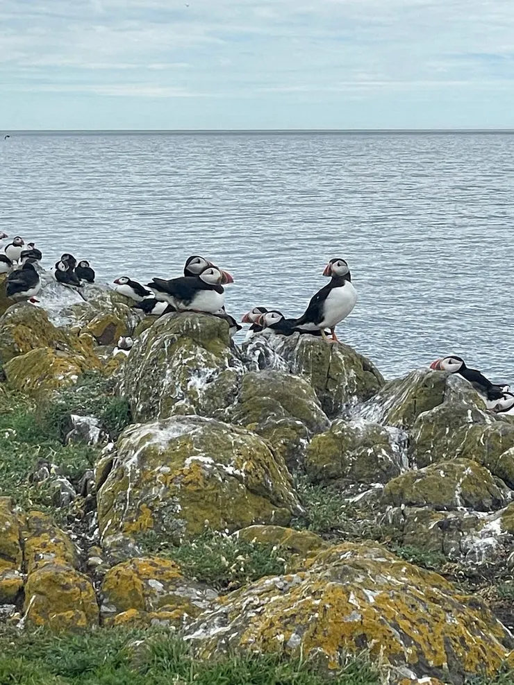 iphone12拍攝成果