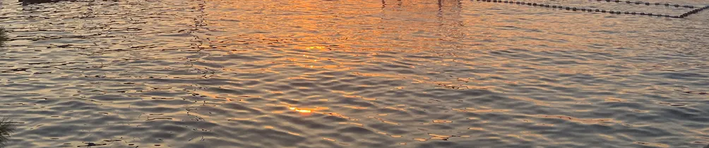 無糖綠茶的沙龍