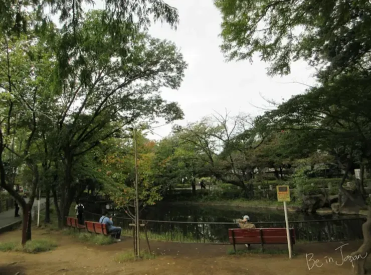 馬橋公園每一個區塊都各有特色，還有淺淺溪流經過，很美麗