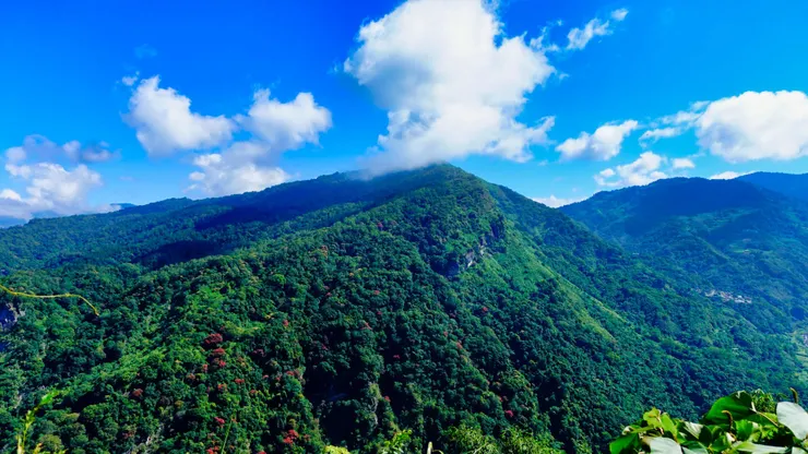 阿里山山脈的日常