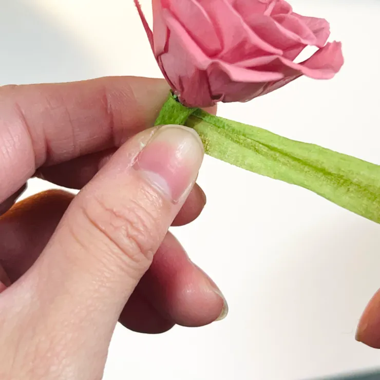 從花朵下的花萼根部開始纏繞