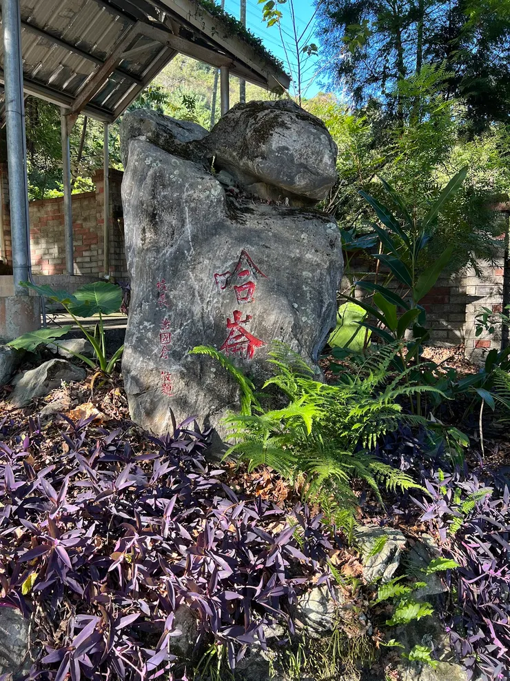 老地名的由來是因為原住民剛遷移到這裡的時候有非常多的HaLung樹（山黃麻），所以取名HaLung；