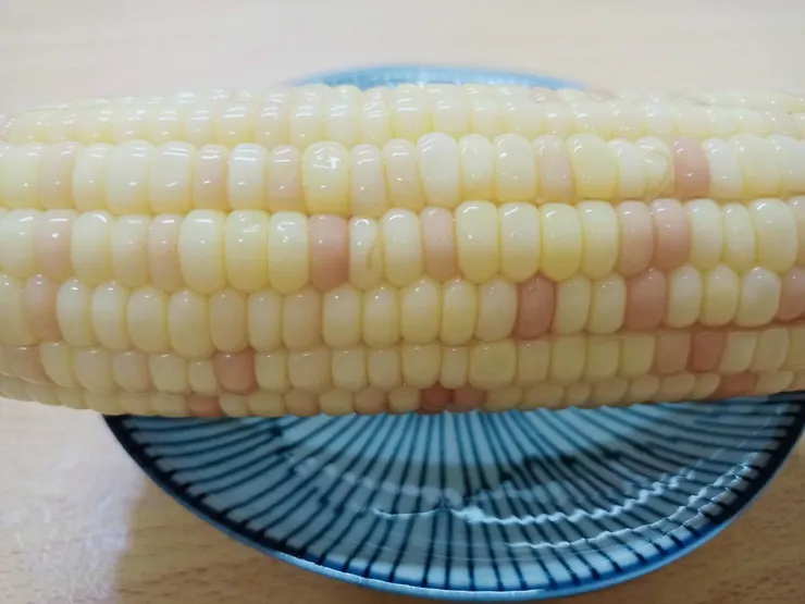 購於全聯，原產地臺灣，每根49元。