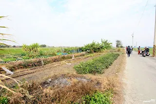 排子路站站場東半部(往大林方向拍)