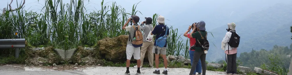 屏東縣野鳥學會