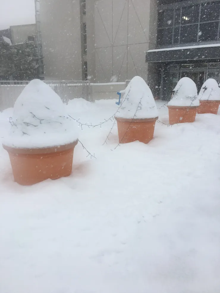 洞爺湖fun：純天然雪糕