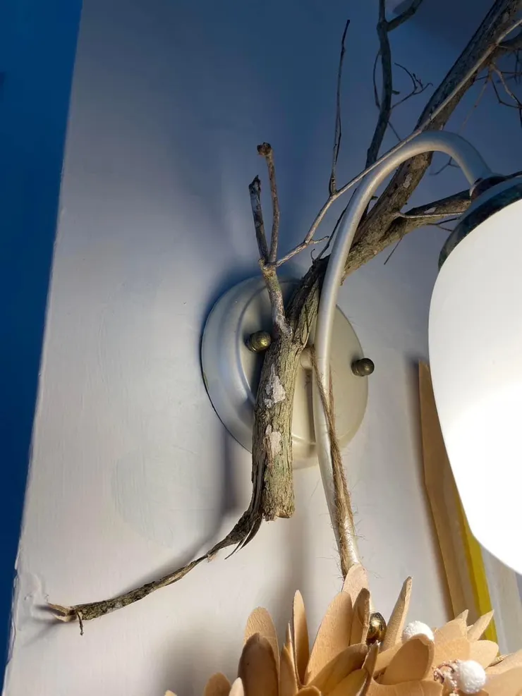 將七里香主幹插入燈座桿子縫中，不著一根釘、一根繩，就這樣恰恰好安安穩穩的攀立燈上